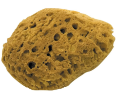 Dekor 1475 Doğal Deniz Süngeri 21 cm