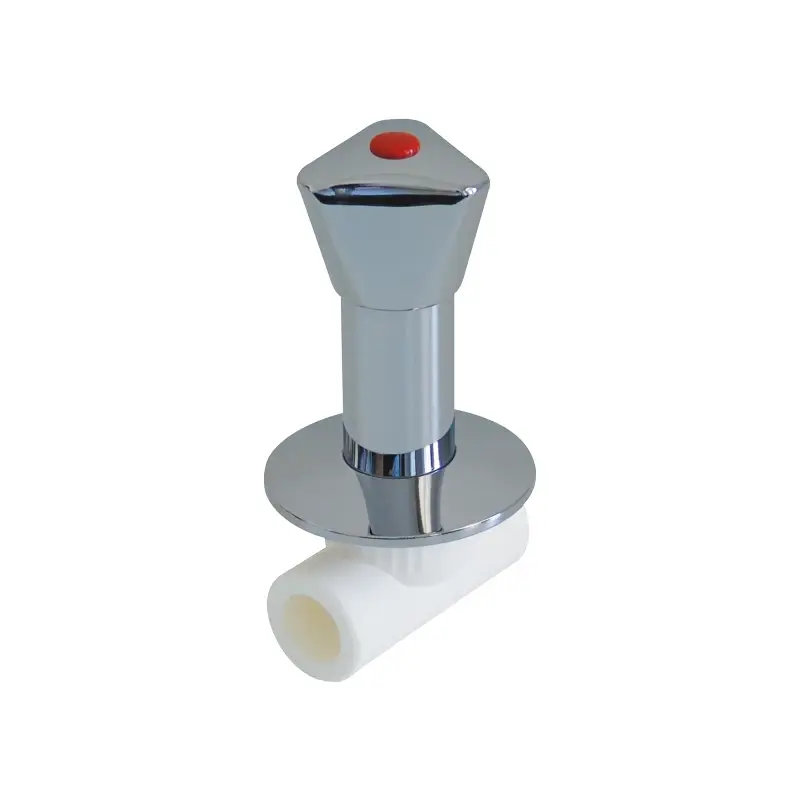 KROMLU VANA PLASTİK 25 MM 3/4 PP KALDE