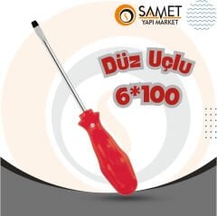 TORNAVİDA DÜZ UÇ 6X100 MM