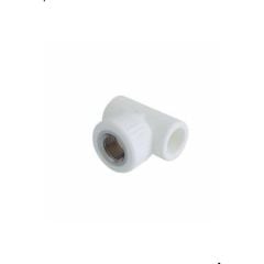 20X1/2X20 Dişi (İç Dişli) Te 5li Paket