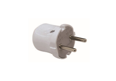 Topraksız Dişi Fiş