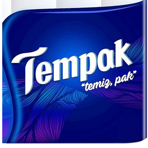 TEMPAK KAĞIT HAVLU 6 LI
